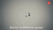 Santa Claus Christmas GIF by BuzzFeed