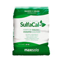 Maxisolo Sticker by Sulgesso