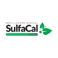 sulgesso sulgesso sulfacal Sticker