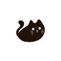 Olvely kitty seriously cute cat black cat Sticker