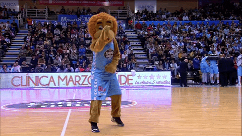liga endesa basketball GIF by ACB
