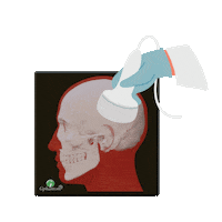 Face Perfil Sticker by Gphantom