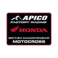 Honda Racing Sticker by ApicoFactoryRacing