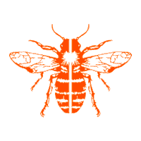 unlimitedflocker bee unlimited abeille flocker Sticker