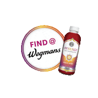Kombucha Probiotics Sticker by GT's Living Foods