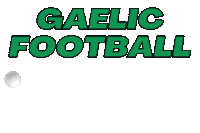 indygaa hurling camogie gaelic football usgaa Sticker