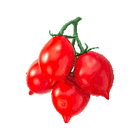 Cherry Tomato Eating Sticker by Consorzio di tutela Pomodorino del Piennolo del Vesuvio DOP