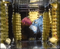 Strangers In Paradise Grocery Shopping GIF by Eternal Family