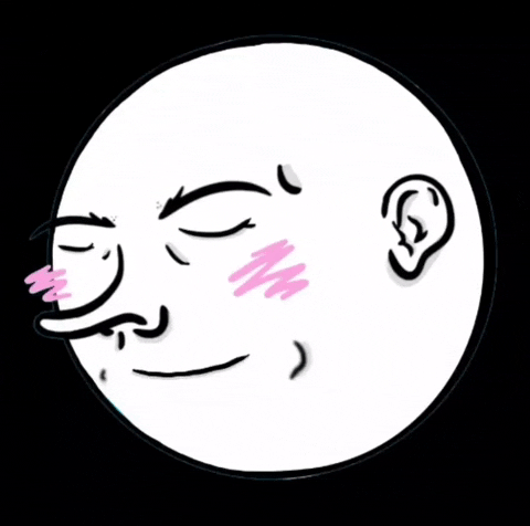 vandalizor happy smile cheers success GIF