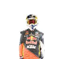Dakar Sticker by Red Bull
