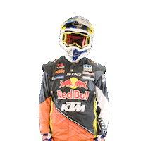 Dakar Sticker by Red Bull