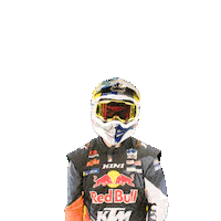 Dakar Sticker by Red Bull