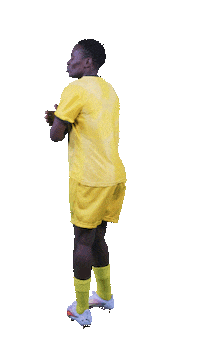 Banyanabanyana Sticker by Shield South Africa