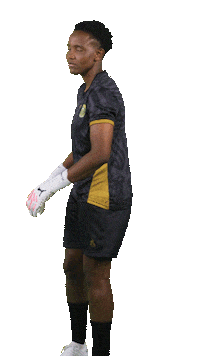 Soccer Celebration Sticker by Shield South Africa