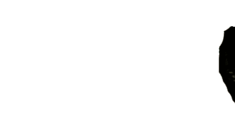 I Cant Make-Up Sticker by BDHCollective