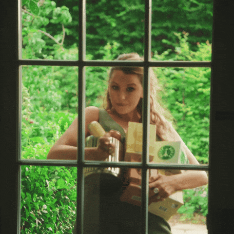 Knock Knock Im Here GIF by Blake Lively Fan