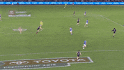 carlton fc GIF by Carlton Football Club