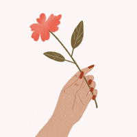 merrijart love flower hand rose GIF