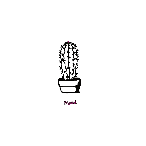 ayringharibpour giphyupload mood cactus bloom Sticker