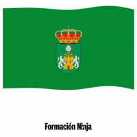 Bandera Sevilla GIF by Formación Ninja
