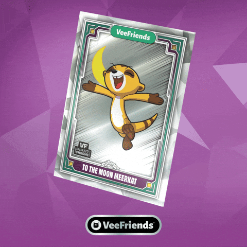 Collect To The Moon GIF by VeeFriends