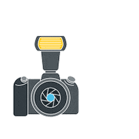 red carpet film Sticker by BVLGARI