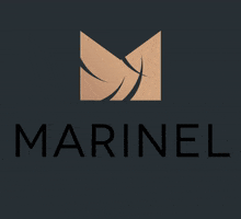 Marinel_Professionnel eyebrows marinel marinelprofessionnel GIF