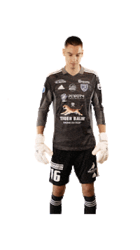 Football Sport Sticker by FCVB