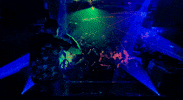 FreshEntertainment festival usa california fresh GIF