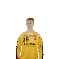 Handball Sticker by MT Melsungen