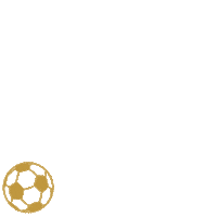 Football Celebrate Sticker by KleinerSpatzWesterstetten