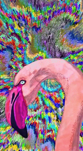 Rainbow Flamingo GIF by The LSD Hotel