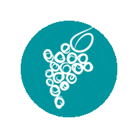 Wine Guide Sticker by Traveling Vineyard