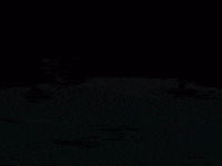 charlie brown GIF by Peanuts