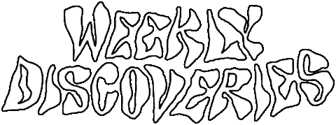 Share Discover Sticker by Justine Figueiredo