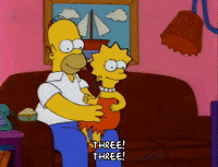 Celebrating Season 3 GIF by The Simpsons
