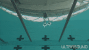 Movie Film GIF by Magnolia Pictures