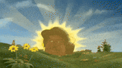 Sunshine Ec GIF