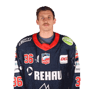 Ice Hockey Sticker by Selber Wölfe