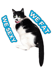 Sexy Fat Cat Sticker