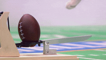 football cats GIF by Hallmark Channel