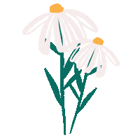 Summer Flower Sticker by Zoe Wodarz