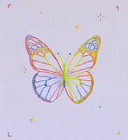 lijemorgan loop stars magic fly GIF