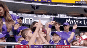 Regular Season Football GIF by NFL