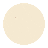 Honey Boy Sticker by Amazon Studios