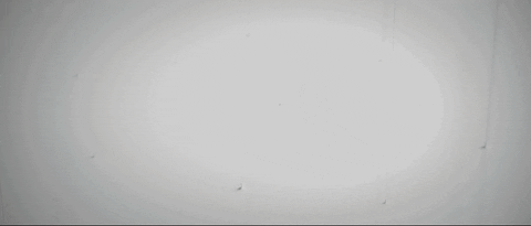 arcopedico giphyupload GIF