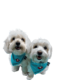 Dogs Puppy Sticker by HammyandBrody