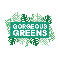 Plant Based Vegan Sticker by Naked Harvest