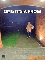 Woman's Day Is Made by Finding Frog