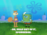 season 8 GIF by SpongeBob SquarePants